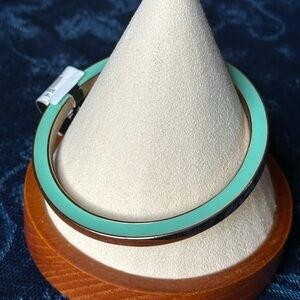 The Limited Turquoise Color Bangle